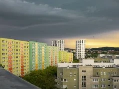 Krosno: "Żyjemy w półmroku, włączamy lampy w dzień". Wszystko przez drzewa