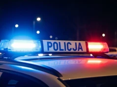 Dwa zderzenia z łosiami na drogach. Policja apeluje o ostrożność