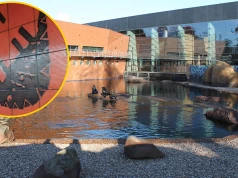 Mozaika we wrocławskim Afrykarium to plagiat. Sąd przyznał artyście 230 tys. zł