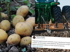 Po szalonym ziemniaczanym urodzaju w 2025 roku Europa zmaga się teraz z kryzysem kartoflanym