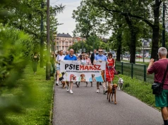Setki psów przejdą ulicami Krakowa. W sobotę kolejny PsieMarsz