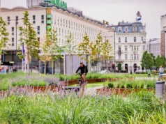 Stworzyli ogród muzyki w centrum Warszawy. Nowe oblicze znanego placu