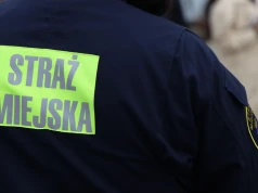 Młody pies wpadł do Wilgi. Jego smycz zaplątała się w konary