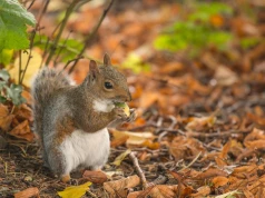 Gdzie jest Bóg w zagubionym świecie? (13) – Natura – znakiem miłości Boga