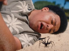 Spider Island