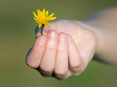 Gdzie jest Bóg w zagubionym świecie? (14) – Wdzięczność – pamięcią serca