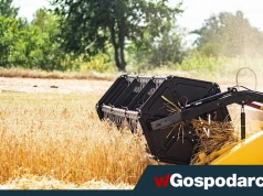 Nie tylko paliwa. Drożeje szybko także żywność!
