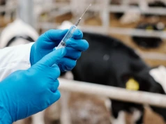Pilny apel weterynarzy do premiera Tuska. "Nie możemy dalej wykonywać pracy bez wynagrodzenia"