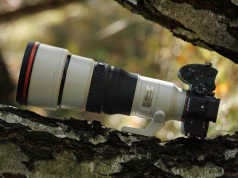 Sony FE 400 mm f/4.5 GM OSS - test praktyczny i zdjęcia przykładowe