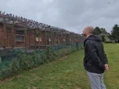 510 kilometrów w powietrzu. Gołębie ruszą w najtrudniejszy lot sezonu z Pomorza na Roztocze