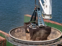 Port Północny w Gdańsku za 45 mln złotych rozwija obsługę biomasy