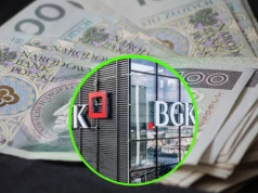 Wielkie pieniądze dla małych firm. Nawet 10 mld zł kredytów z gwarancją BGK
