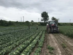 Kontrole transportu żywności w całej Polsce. Służby sprawdzają towar, auta i dokumenty