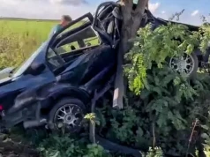 Honda wbiła się w drzewo. Co z kierowcą?
