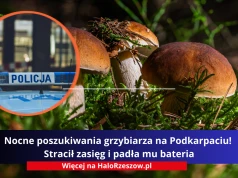 Nocne poszukiwania grzybiarza na Podkarpaciu! Stracił zasięg i padła mu bateria