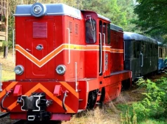 40 lat na wąskim torze. Historia, która wciąż jedzie dalej
