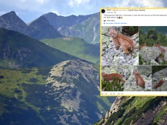Wyjątkowe spotkanie w Tatarach. "Nie da się zapomnieć przez całe życie"