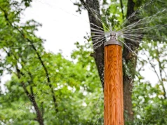 To jeden z najlepszych parków Warszawie. Teraz ma nową atrakcję dla najmłodszych