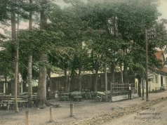 Cygański Las. Historia jednej z najpiękniejszych części Bielska-Białej