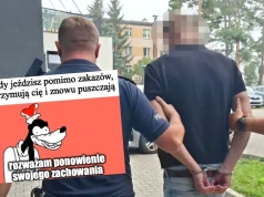 Wiązowna: kierowca ignorujący zakazy prowadzenia, w tym jeden dożywotni, został złapany i wypuszczony