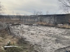 Zalana ściekami działka w Jeleniu. Sprawa trafiła do prokuratury