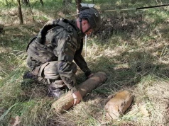 Las skrywał arsenał z czasów wojny. W Borowie znaleziono kolejnych 341 niewybuchów