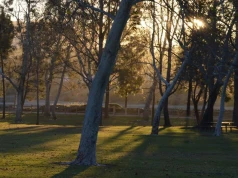 Park w Pawłosiowie zostanie przebudowany. Plan obejmuje wiele nowych atrakcji
