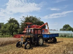Ceny żyta dochodzą do 700 zł/t. Między skupami nawet 200 zł różnicy