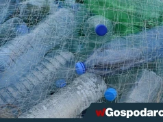 Bakterie nauczyły się trawić... plastik