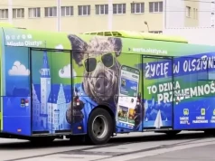 Dziki Autobus w Olsztynie! Sprawdź, na których liniach go spotkasz