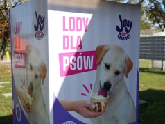 Automat z lodami dla psów stoi w Krakowie. Są trzy smaki
