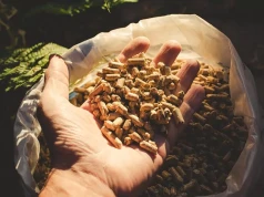 Pellet iglasty czy liściasty? Test pokazał, co dzieje się w kotle