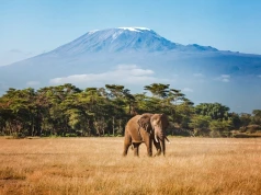 British Airways powracają do Tanzanii z lotami do Kilimandżaro i na Zanzibar