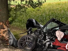 BMW wjechało w drzewo