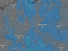 IMGW prognozuje deszcz, burze i silny wiatr. Porywy osiągną nawet 80 km/h