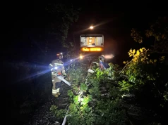 Szynobus uderzył w drzewo leżące na torach