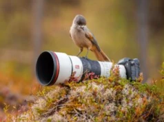 Sony pokazało dwa nowe superteleobiektywy z serii G Master – 400 mm i 600 mm