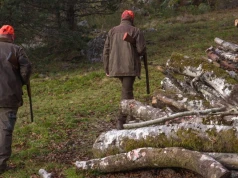 Plan polowań na terenie gminy Nasielsk