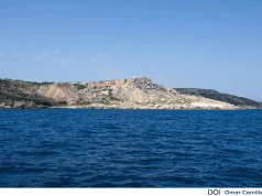 Malta stawia na ochronę podwodnego świata. Powstaje pierwszy park morski z planem zarządzania