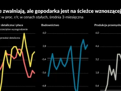Płace w Polsce zwalniają, ale sprzedaż wciąż rośnie