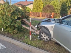 Uciekał przed policją, zatrzymały go tuje