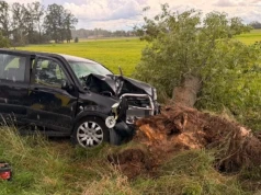 Samochód uderzył w drzewo w gminie Nowe Piekuty. Kierującą zabrało LPR