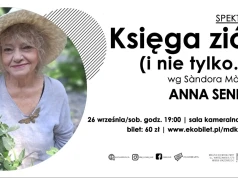 Anna Seniuk. Stand-up na siedząco