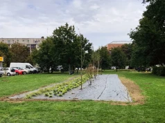 Pikniki sąsiedzkie na Fabrycznej i Zakaczawiu w Legnicy