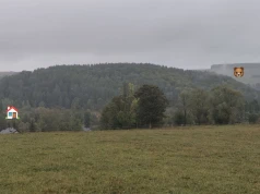 Jeździli konno, gdy nagle zobaczyli uciekającego mężczyznę...Niedźwiedź ruszył za nimi w pogoń