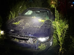 Policja poszukuje świadków wypadku na obwodnicy Twierdzy Modlin