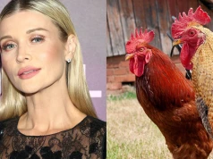 Oto, co Joanna Krupa ma lodówce. To wyznanie może zaskakiwać