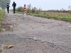 Ścieżka rowerowa przegrywa z korzeniami drzew
