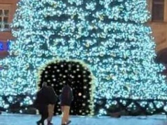 Nawet 120 tysięcy światełek i przejście przez lodową komnatę. Wrocław ogłosił przetarg na nową choinkę