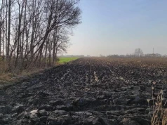 Wydzierżawię ziemię za pół ceny. Oferta specjalna dla GUS